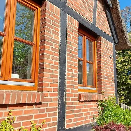 Insel-reetkate Auf Mit Hund Φέμαρν