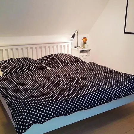 Insel-reetkate Auf Mit Hund * Φέμαρν