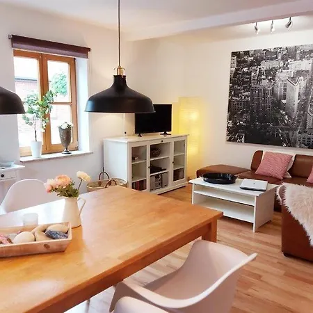 Insel-reetkate Auf Mit Hund