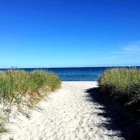 Insel-reetkate Auf Mit Hund Σπίτι διακοπών *