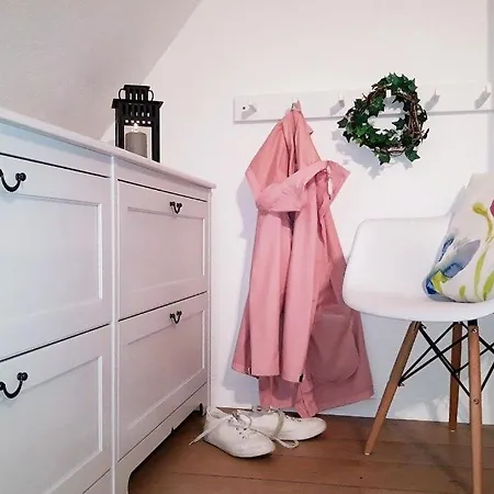 Insel-reetkate Auf Mit Hund Φέμαρν