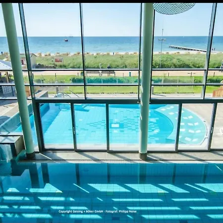 Insel-reetkate Auf Mit Hund