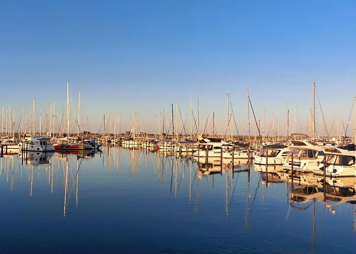 Insel-reetkate Auf Mit Hund *