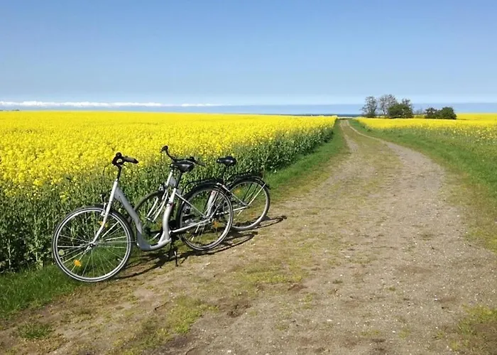 Insel-reetkate Auf Mit Hund *
