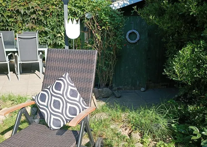 Insel-reetkate Auf Mit Hund *