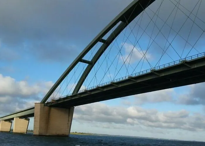 Insel-reetkate Auf Mit Hund Fehmarn