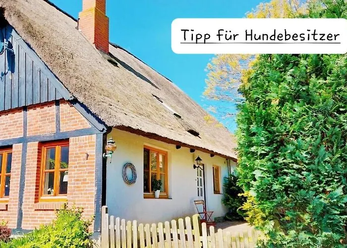 Casa vacanze Insel-reetkate Auf Mit Hund *